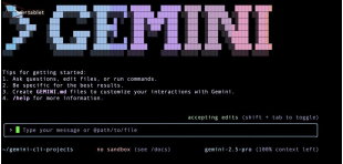 gemini-cli-la-gi-1