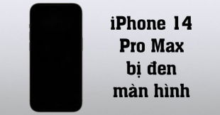 iphone-14-pro-max-bi-den