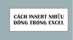 cach-them-nhieu-dong-trong-excel-1