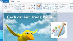 cat-anh-tren-may-tinh-1