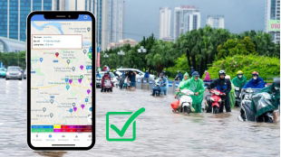 app-tra-cuu-diem-ngap-lut