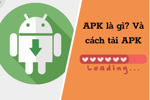 apk-la-gi__6_