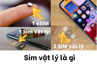 sim-vat-ly-la-gi__2_