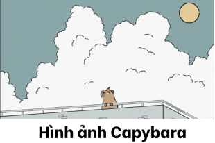 hinh-anh-capybara__24_