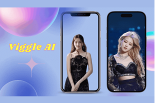 viggle-ai__1_