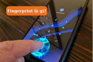 fingerprint-la-gi