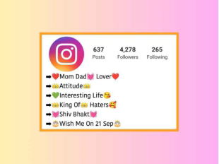 Bio-tren-instagram-1