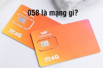 058-la-mang-gi
