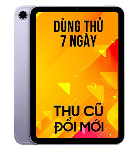 mini-6_copy_optimized